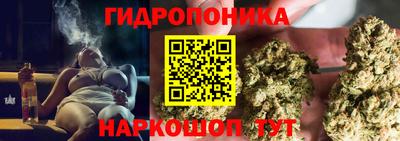 стаф Малоярославец