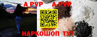 стаф Малоярославец